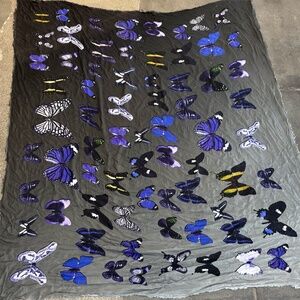 813 Ottotredici Blue Butterflies Scarf